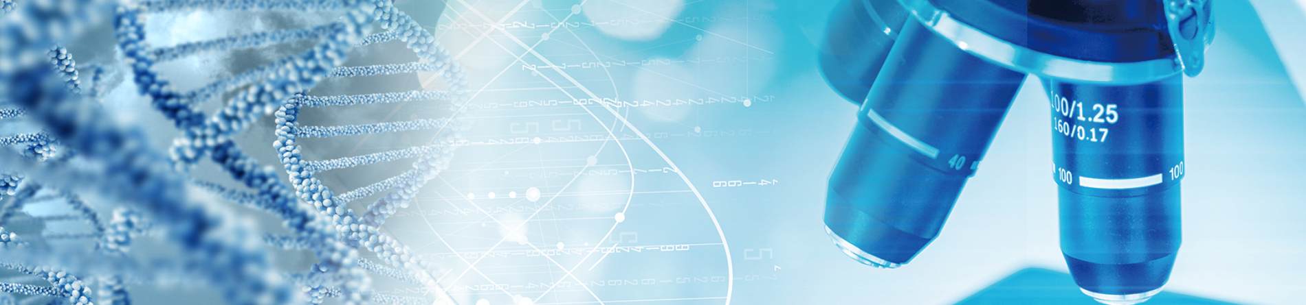 集美控股集團(tuán)